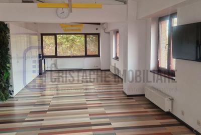 Vila P+2, suprafata 380 mp, Principatele Unite, Piata Unirii - 4