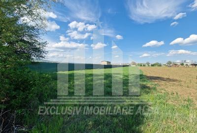Teren agricol extravilan de 2600 mp, în Partoș