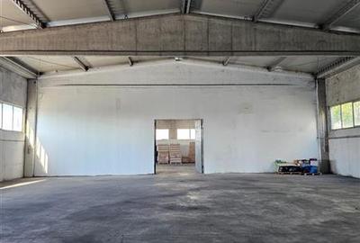 Vanzare depozit/hala/spatiu industrial Domnesti - Clinceni - Bragadiru - Centura - 10
