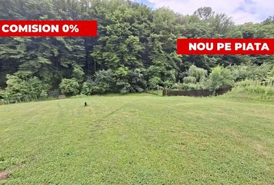Teren Construcții intravilan de 1203 mp, în Bascov