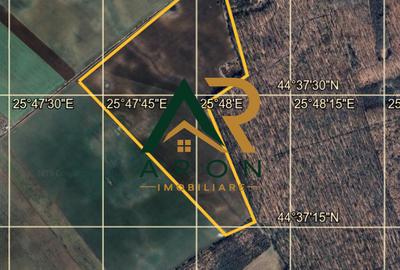 Teren Extravilan | Tartasesti - Bildana | 27 HA | Comision 0% - 2