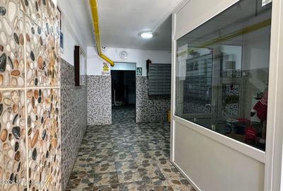 Fizicienilor - Lacramioarei, 3 camere 67 mp, pod 40 mp, modernizat - 14