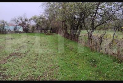 Teren Construcții intravilan de 3000 mp, în Găești
