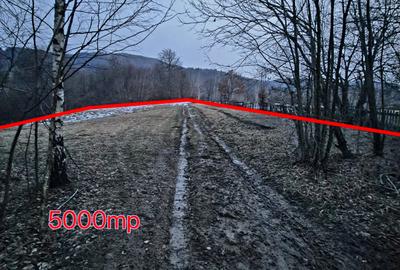Teren 5000 mp, pretabil cabana de weekend, Sinca Noua - 2