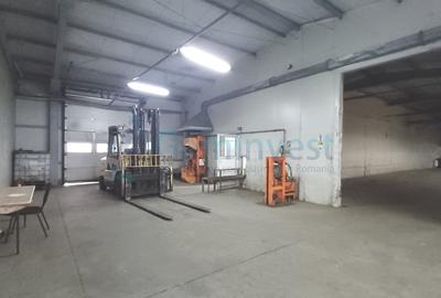 Spatiu industrial de vanzare in Biharia, hala 1200 mp si 23772 mp teren - 13