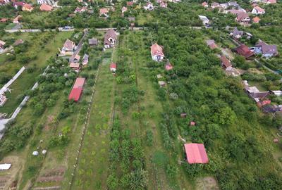 Teren intravilan 1000 mp in Sibiu Daia Noua - 8