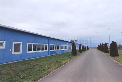 Spatiu industrial de vanzare in Biharia, hala 1200 mp si 23772 mp teren - 3