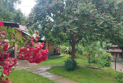 Casa gospodarului, înconjurată de natură, Comarnic - 4