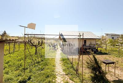 Două case și teren 1.592 mp | Bălteni – Scroviștea - 4