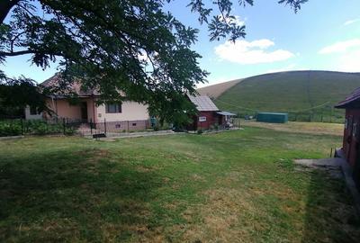 Casa familiala cu gospodarie,teren 60 arii,cătun Ploscoș, 0 comision! - 15