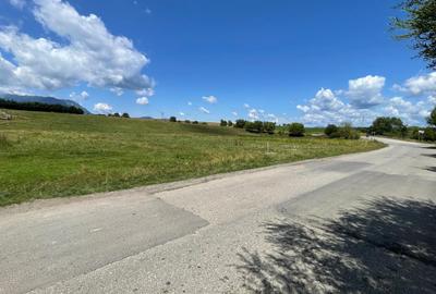 INVESTIȚIE | Teren 5000 mp PUZ APROBAT intravilan - zona Sohodol -Bran - 4