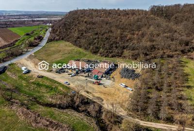 1,2 ha teren comercial/industrial cu hale in Baratca Paulis Arad - 5