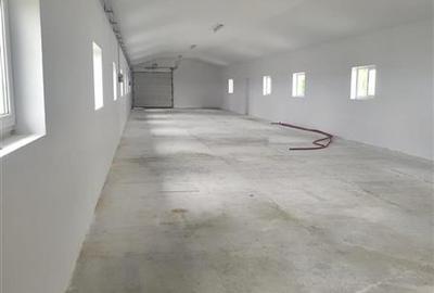 Hala de productie 370 mp renovata de inchiriat – Valea Seaca, la 10 minute de or - 19