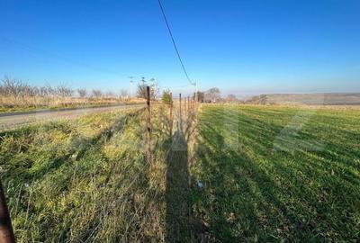 Teren Construcții intravilan de 13000 mp, în Lucăcești