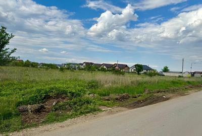 Teren Construcții intravilan de 10000 mp, în Domnești