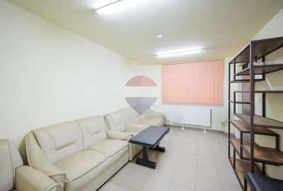 Hală în parc industrial Borș 1, teren 2.903 mp, de vânzare - 26