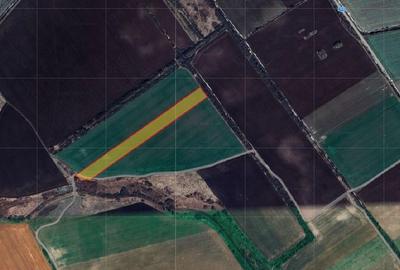 Teren agricol extravilan de 18000 mp, în Corbeanca