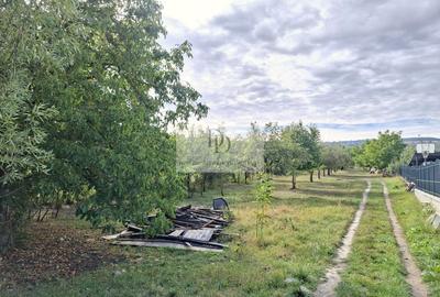 Teren Construcții intravilan de 30012 mp, în Bună Ziua