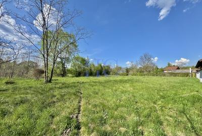 Teren Construcții intravilan de 1600 mp, în Avrig