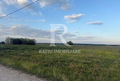 Teren agricol extravilan de 1923 mp, în Păușa