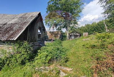 Teren 130000 mp extravilan, faneata si padure, Munteni - Bulz, Negreni - 19