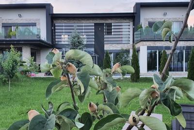 Vila ultrafinisata 550 mp utili si 2000 mp teren amenajat in Sibiu - 2