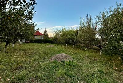 O casă cu suflet, pe un teren cât o poveste întreagă-Deva, zona Vulcan - 19
