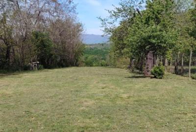 Teren zona montana in com.Turcinesti Jud.Gorj - 11