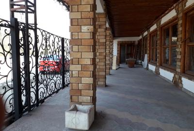 POPASUL CU PAUNI- DE 85, spre  URZICENI, inchiriere restaurant cu terasa - 4
