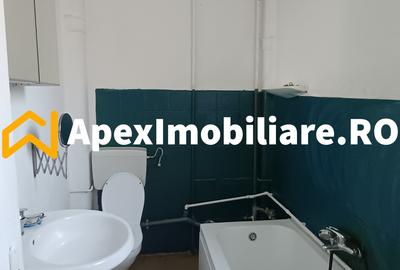 Apartament 2 camere de inchiriat Cismigiu București | ApexImobiliare.ro - 16