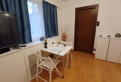Garsoniera Piata Victoriei - str. Dr. Iacob Felix - 6