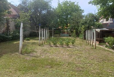 Casă individuală  în Turnișor - 7