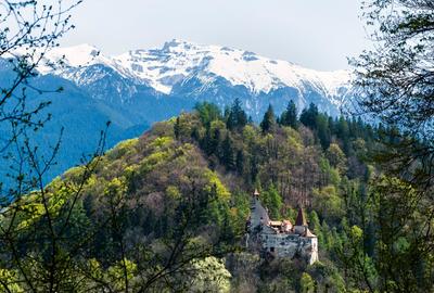 Casă individuală cu 6 camere în Bran