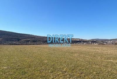 Teren agricol extravilan de 13300 mp, în Independenței