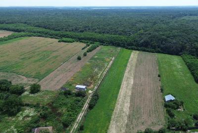 Snagov, Gruiu, Teren Intravilan 8,300 mp, Strada Tobosari - 6
