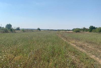DN1 Snagov, Ghermanesti A3, Peris Niculesti  Vanzare Teren - 4