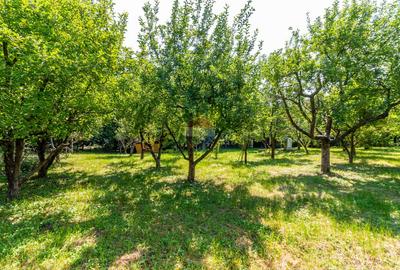 Casă/Vila tip conac, cu anexe si livada de vânzare Valenii de Munte - 9