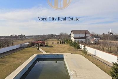 Vilă de lux Izvorani-653 mp-7500 mp teren-Piscina-Sauna - 11