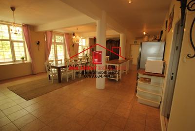 Casă de vacanță ideală pentru pensiune, regim hotelier  zona Parches! - 6