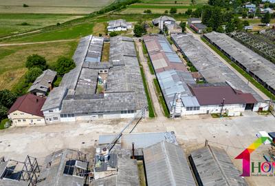 Teren 100.000 mp + Spatii Industriale Bacau - 20