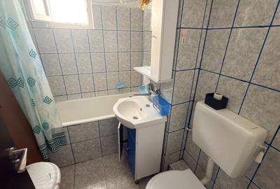 Apartament 3 camere decomandate Vasile Aaron - 7