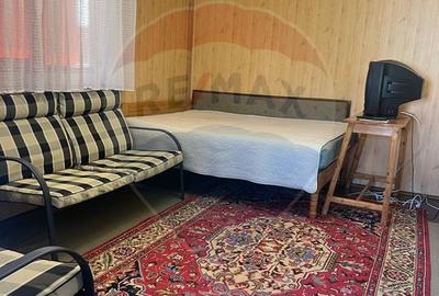 Vilă 6 camere, Păulești — vis-a-vis de parc, langa padure - 11