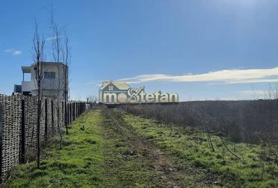 Teren Intravilan Vama Veche | 7.495 mp | Oportunitate Investiție - 6
