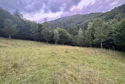 Teren Intravilan Gura Siriului pretabil Cabana in apropiere de Barajul  Siriu - 2