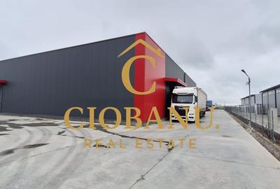 Hale industriale+Cladire de Birouri de inchiriat zona Aeroport - 3
