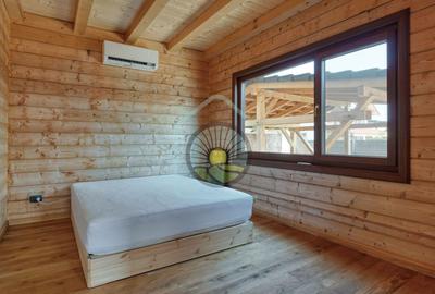 Inchiriere Casa Cristian- Brasov - 16