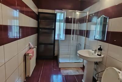 Proprietate generoasă, 18 camere, 800 mp utili, teren 1.300 mp – Iași, Bucium - 25
