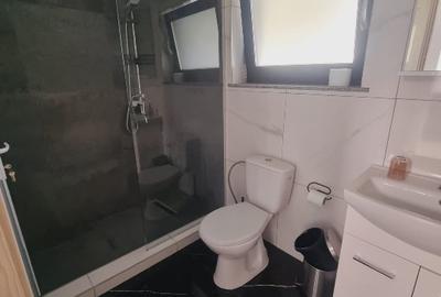 Complex de agrement 1800mp si teren 10000mp zona Colibita constructie 2025 - 8