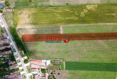 Teren Construcții intravilan de 2900 mp, în Mihalț