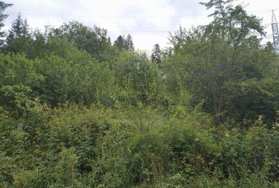 Teren Construcții intravilan de 997 mp, în Forestier